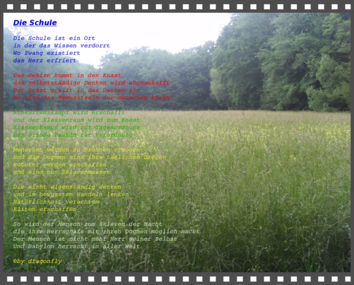 Die Schule